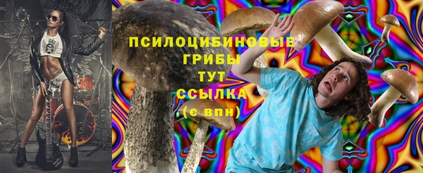 индика Алексеевка