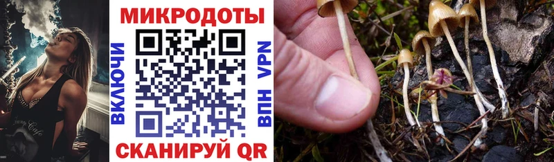 Галлюциногенные грибы Psilocybe  Альметьевск 
